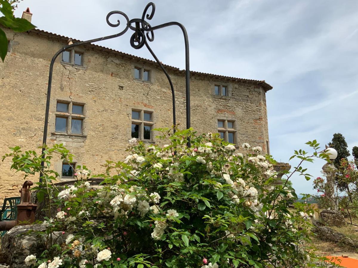 Chateau De Mézerville Buitenkant foto