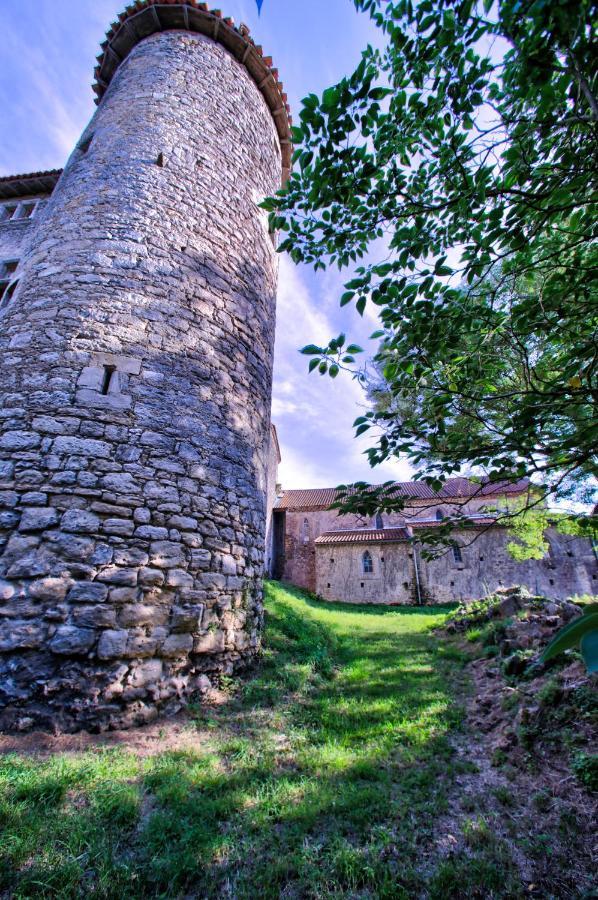 Chateau De Mézerville Buitenkant foto